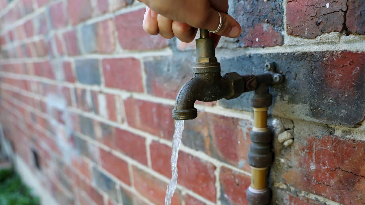 What about the rare ‘brain -eating’ Amoeba found in Australian tap water What about the rare ‘brain -eating’ Amoeba found in Australian tap water