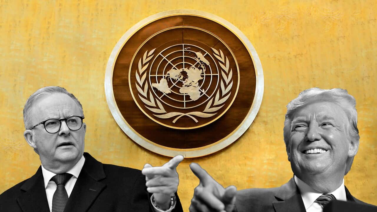 ANTHONY ALBANESE DONALD TRUMP