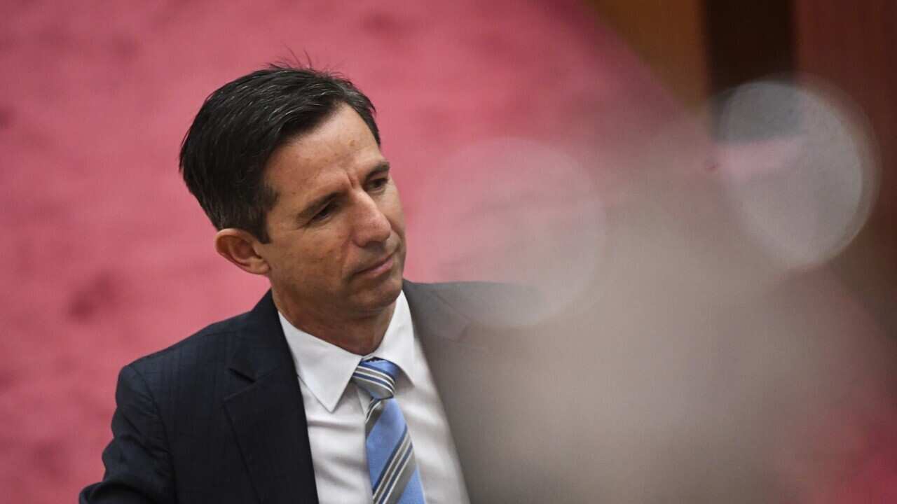 The leader of the government in the Senate Simon Birmingham (AAP)