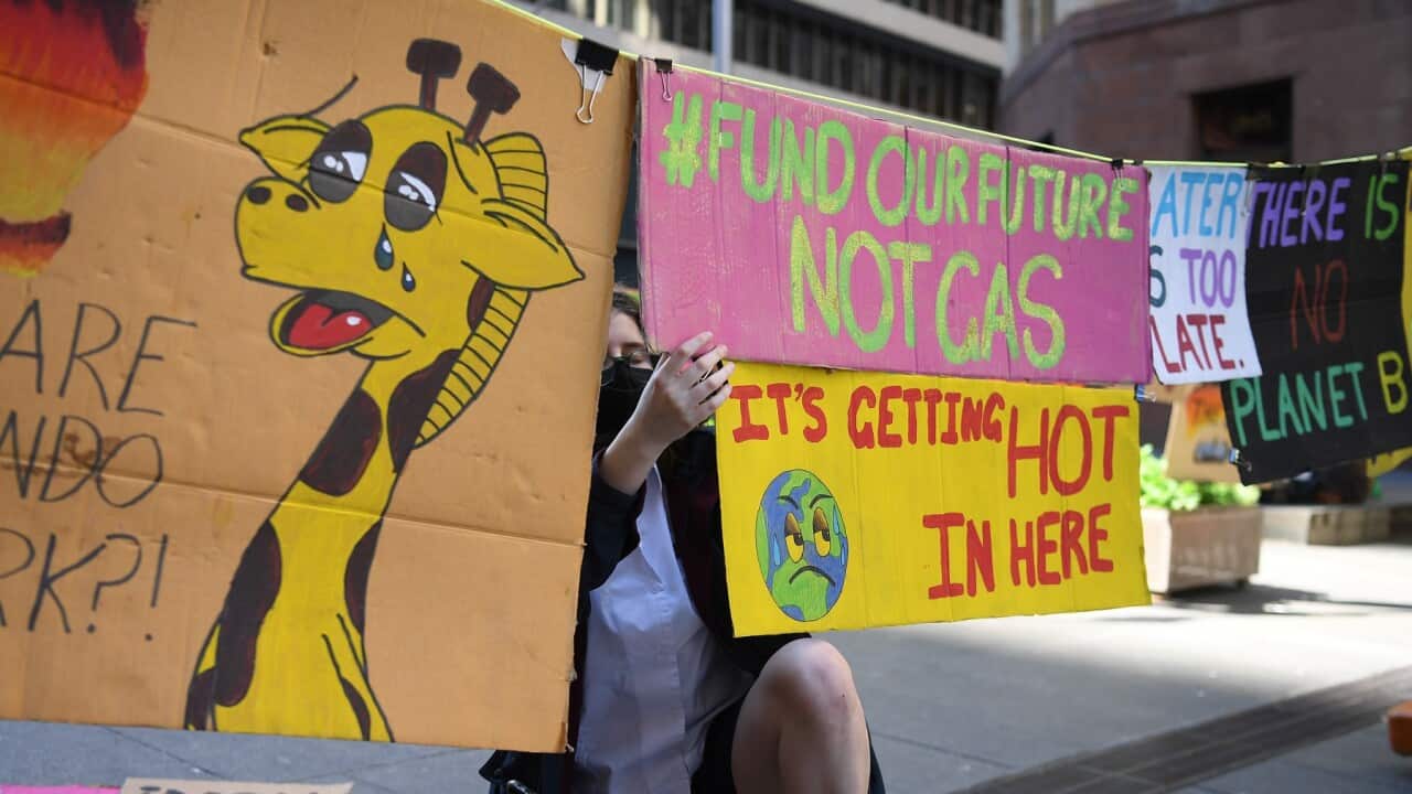 Sydney climate change rally in September AAP