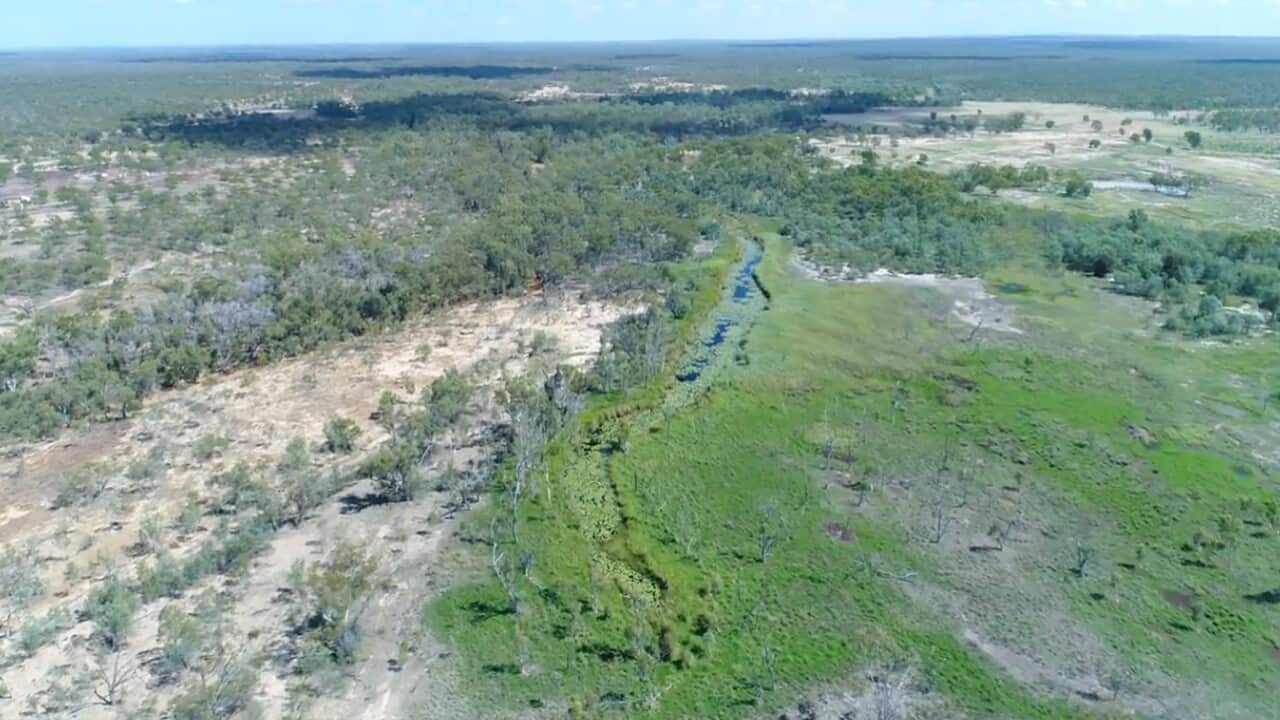 More than 100 wetlands form part of the Doongmabulla Springs. 