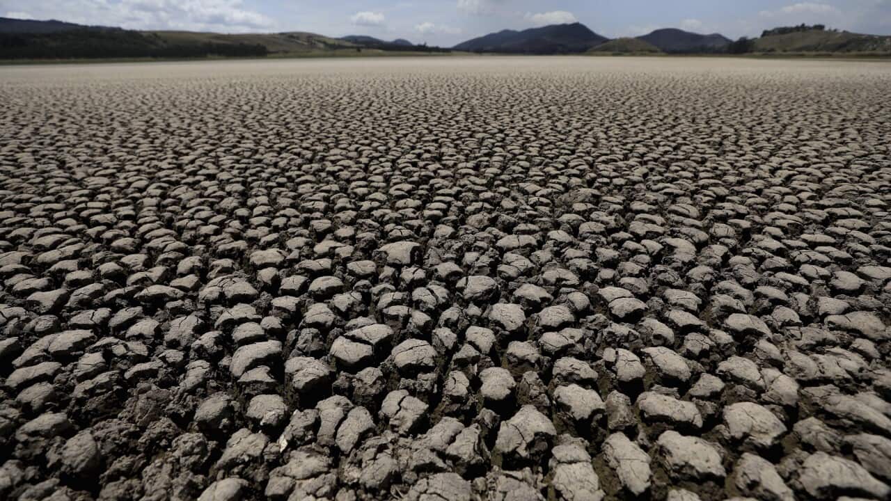 The lakebed of Suesca lagoon sits dry and cracked, in Suesca, Colombia, after years of very little rainfall