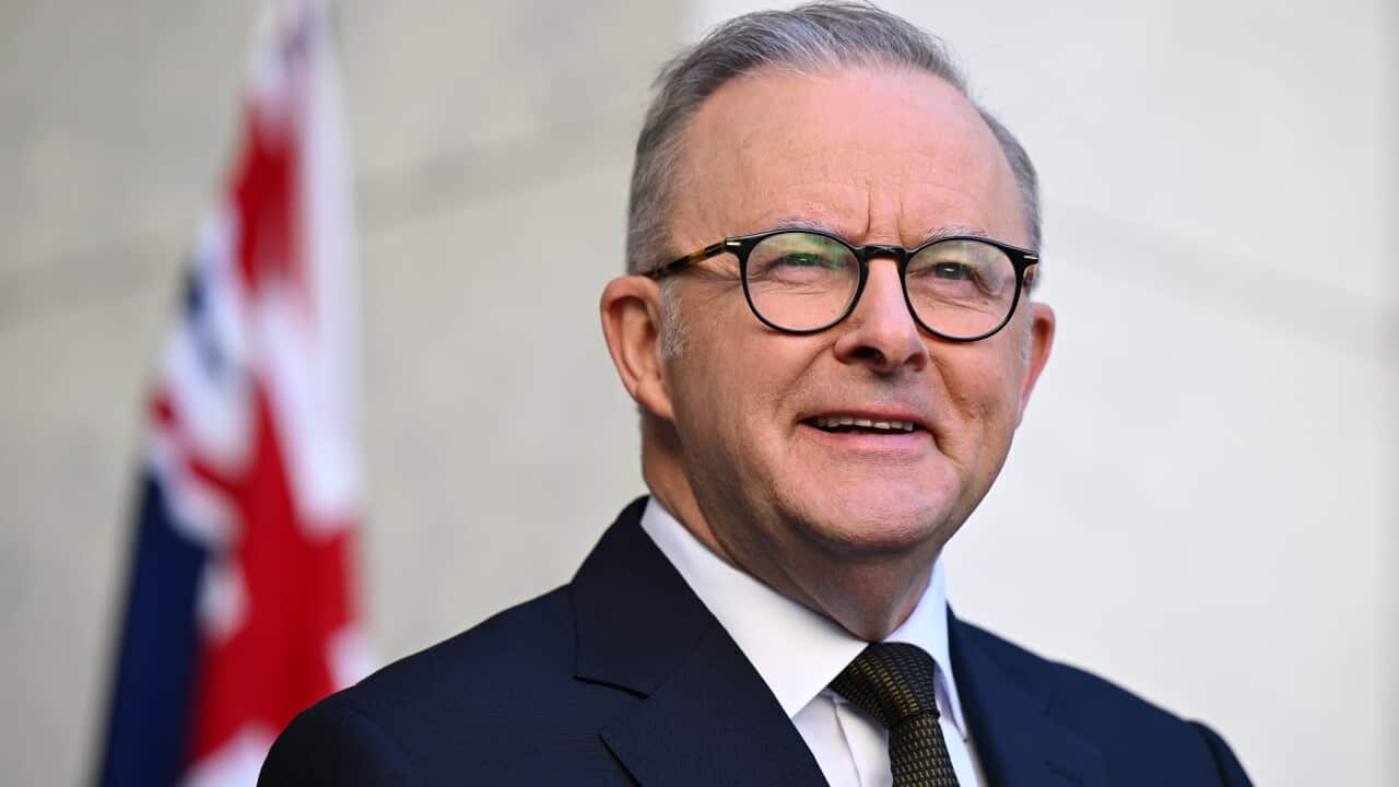 ANTHONY ALBANESE PRESSER