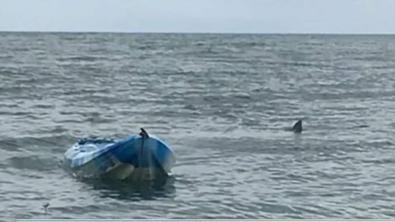 Image for read more article 'Related reading'