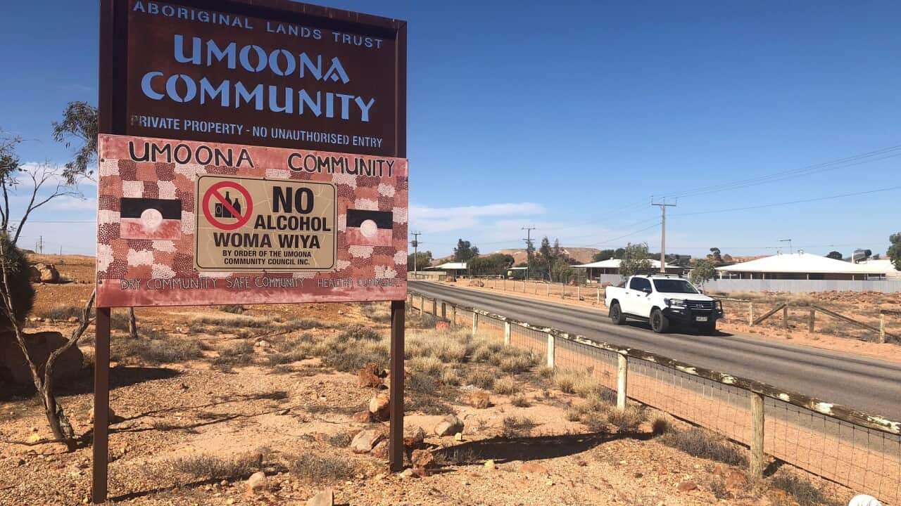 Image for read more article 'READ MORE'