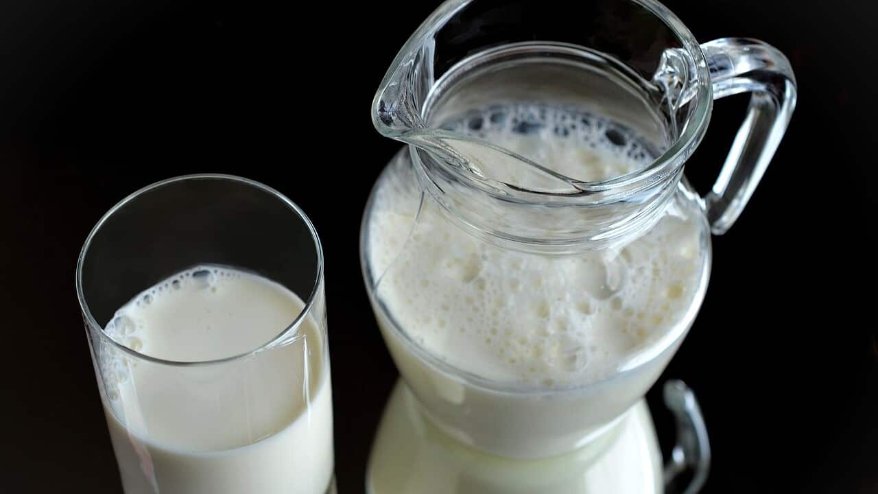 How nutritious are plant-based milks