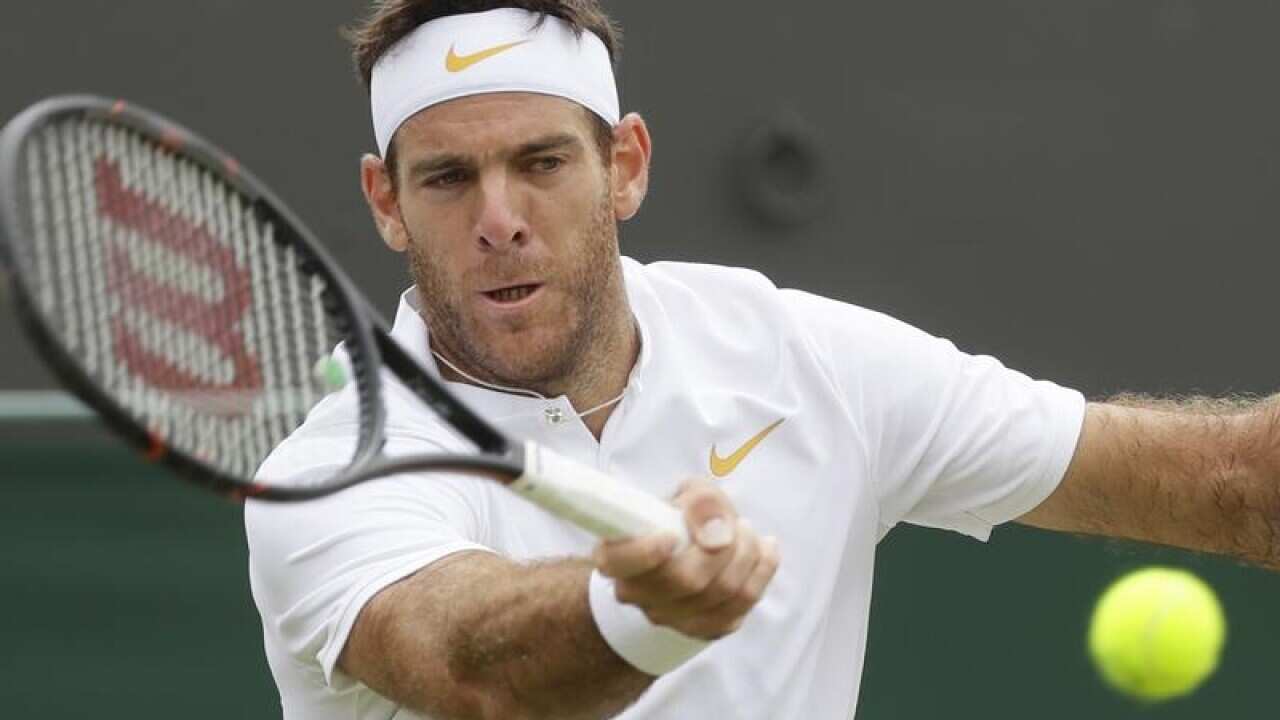 Argentine ace Juan Martin del Potro