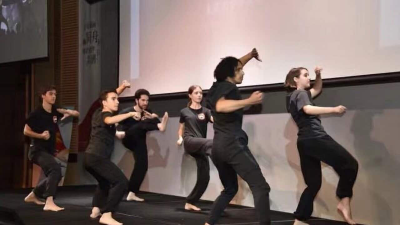 Martial arts show