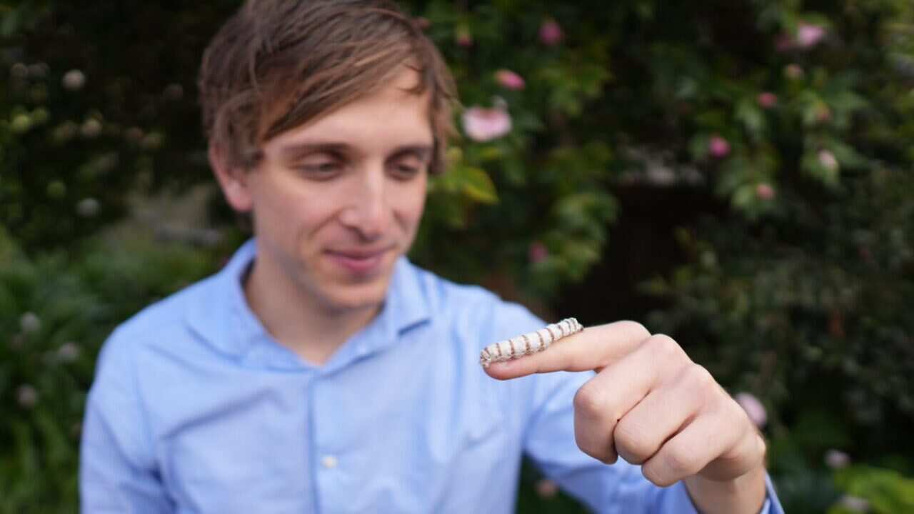 sere taylor con baco.jpg