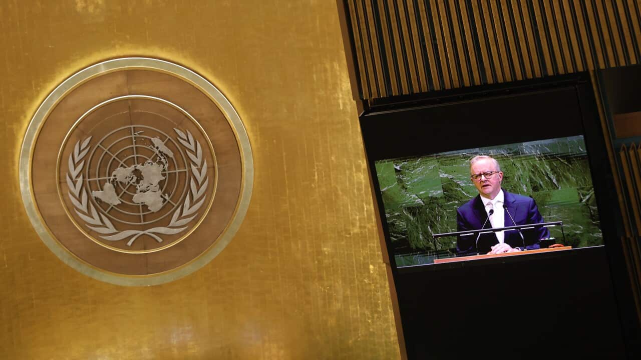 Anthony Albanese United Nations General Assembly