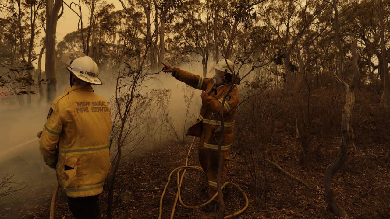 Members of the Sutherland Strike Force RFS contain a spot fire on a property in Colinton, NSW, Saturday, February 1, 2020.