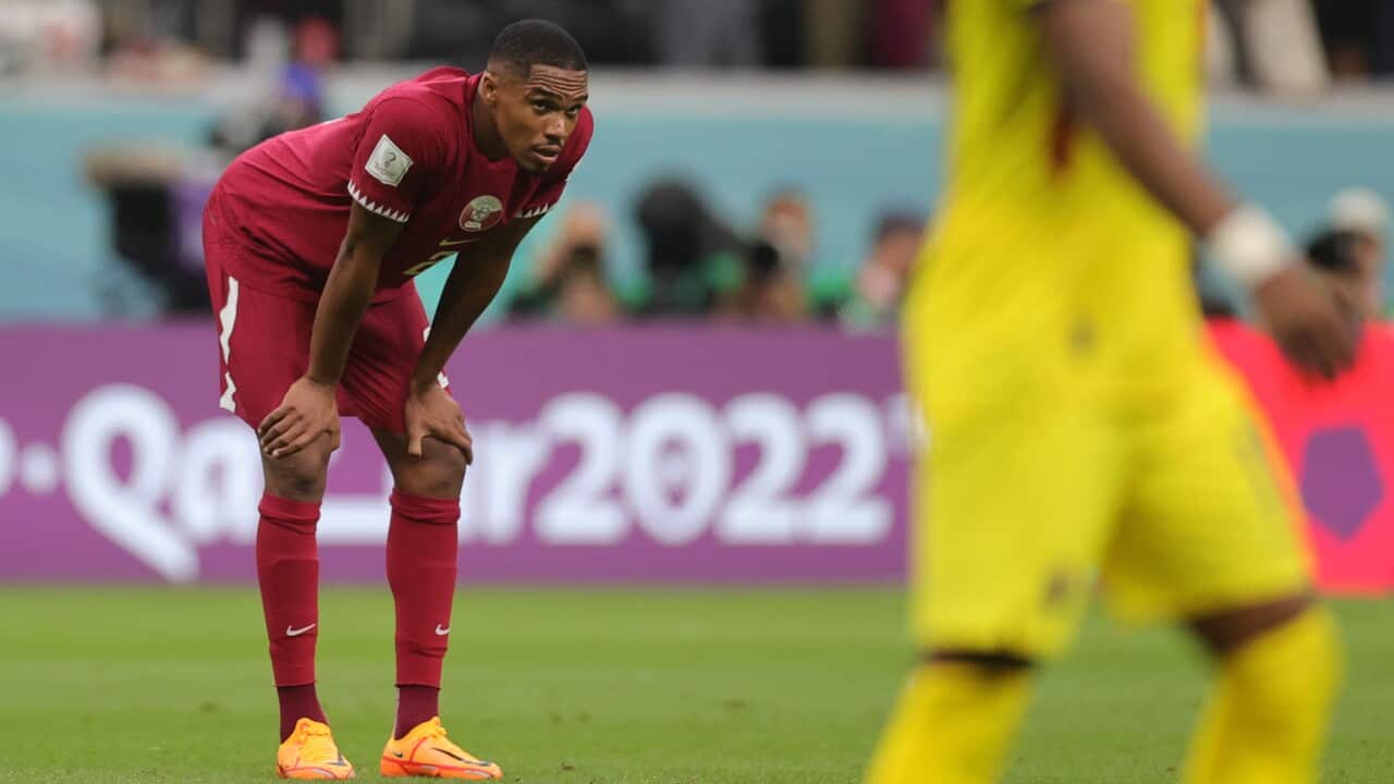 Image for read more article '相關內容'