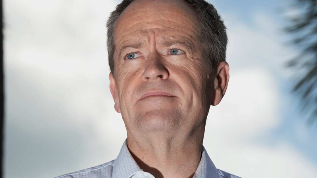 Leader of the Opposition Bill Shorten