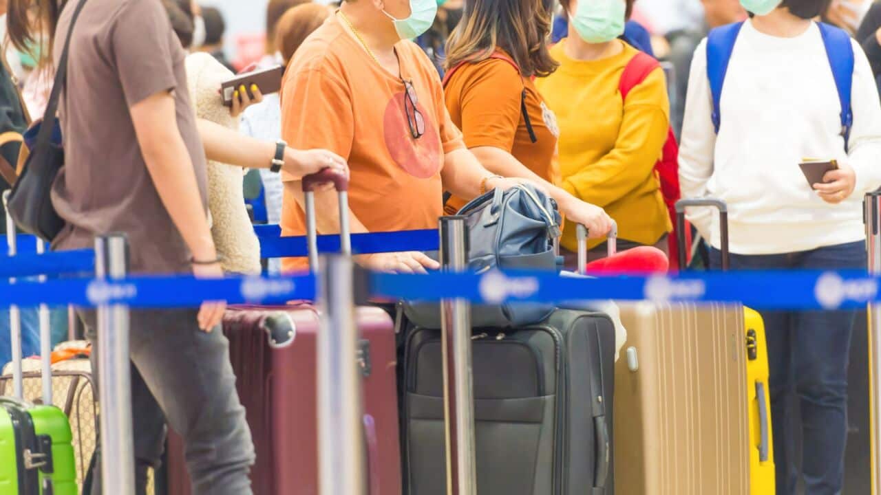 international travel unlikely to resume this year