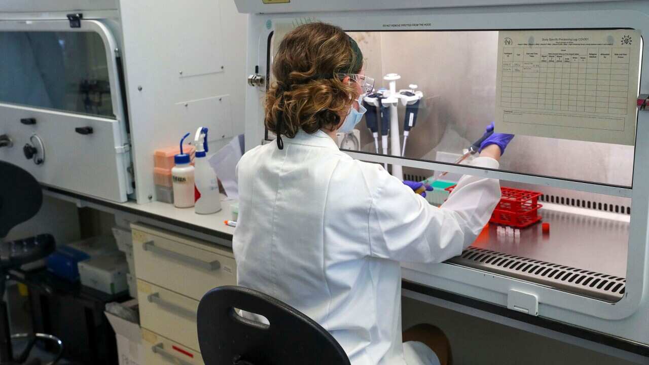 A scientist working at Oxford Vaccine Group's laboratory