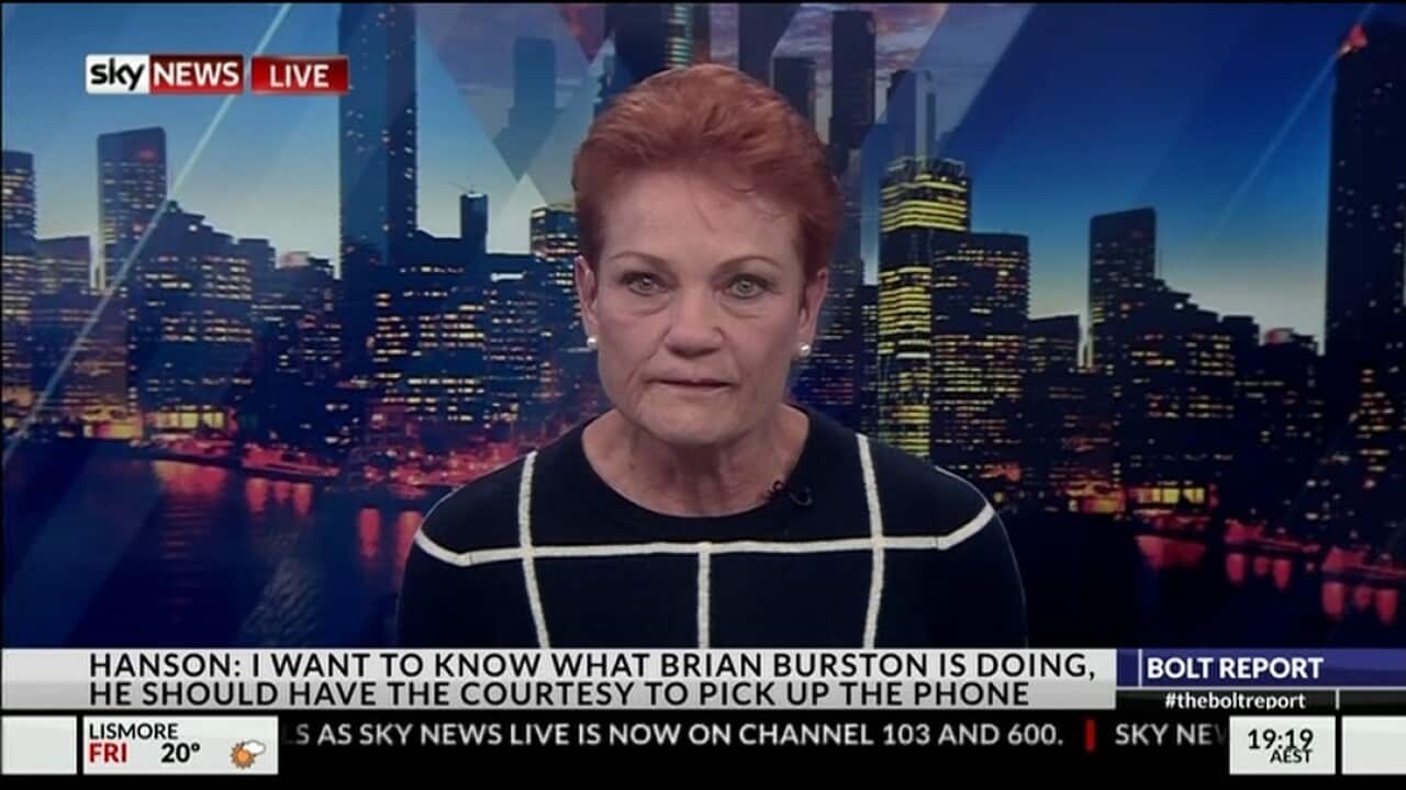 Pauline Hanson on Sky News.