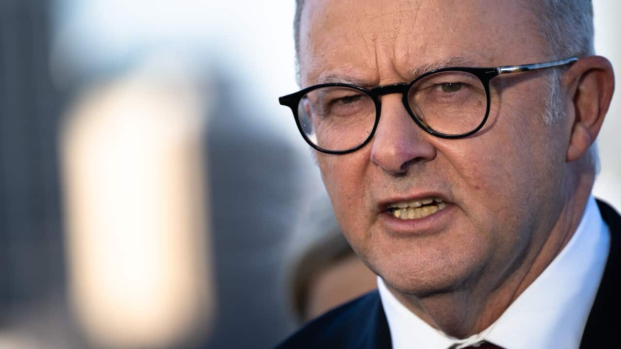 Close up of Anthony Albanese wearing a suit and tie and glasses