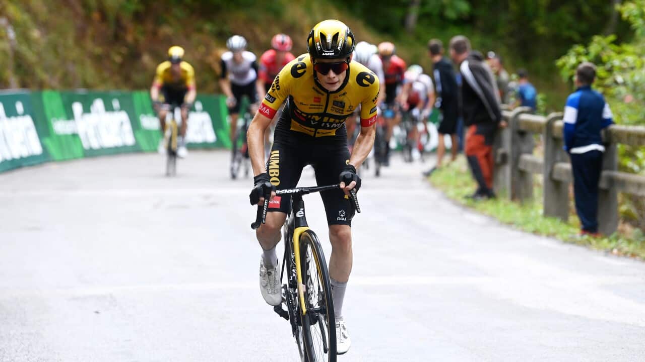 Image for read more article 'READ MORE'