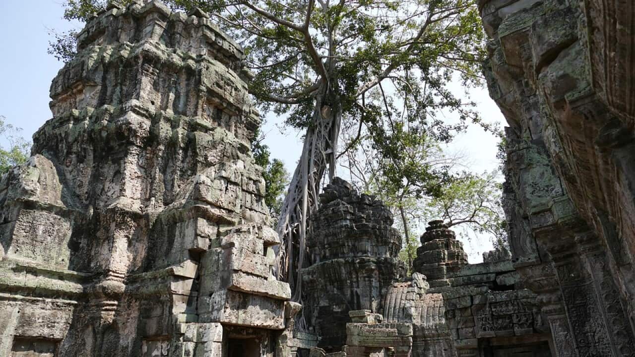 Image for read more article ''