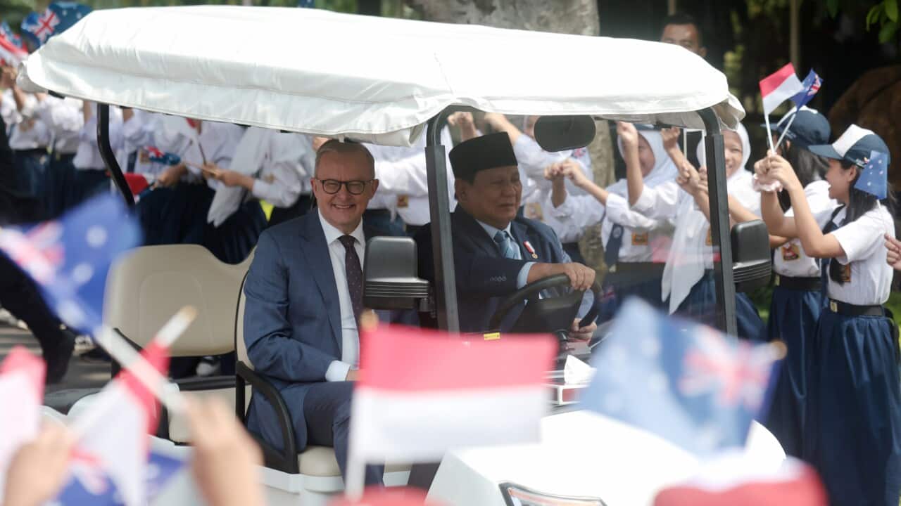 Australian Prime Minister Albanese meets Indonesian President Prabowo in Jakarta