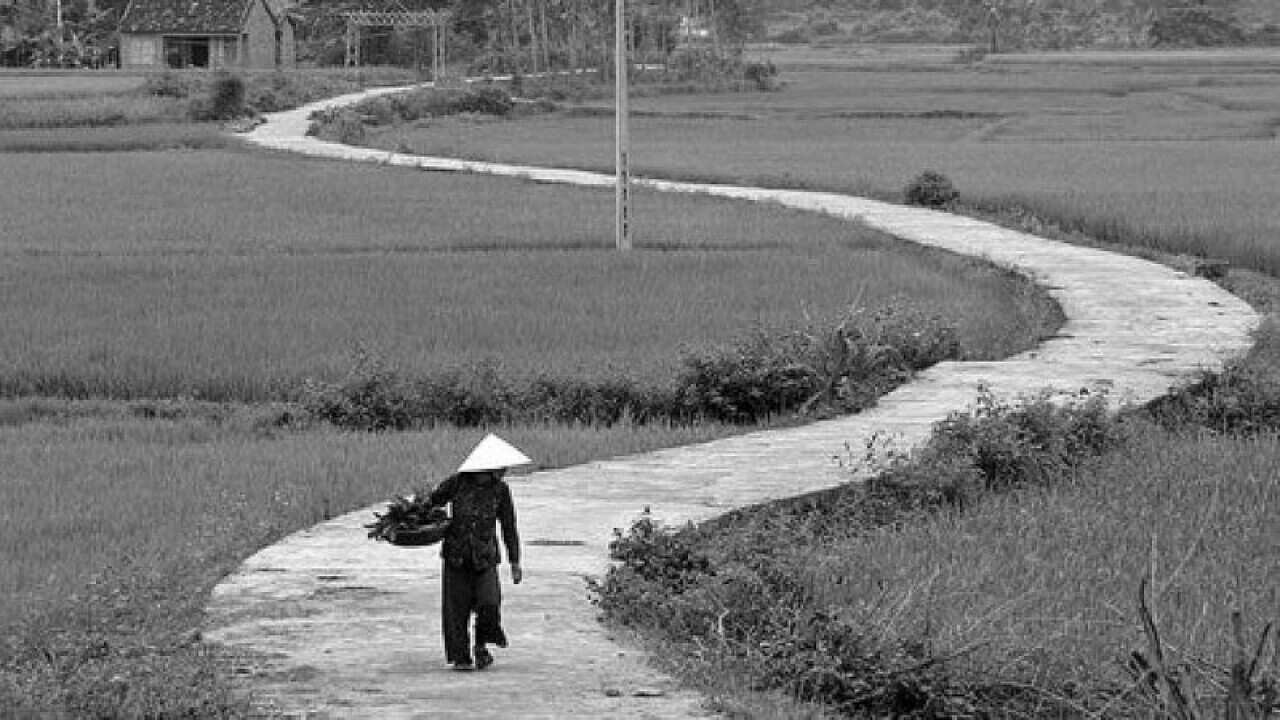Đường làng