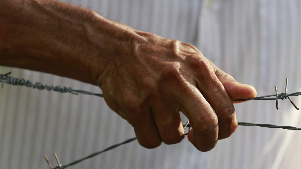 An 84-year-old man was found dead at a farm north of Kempsey, NSW on Friday night.