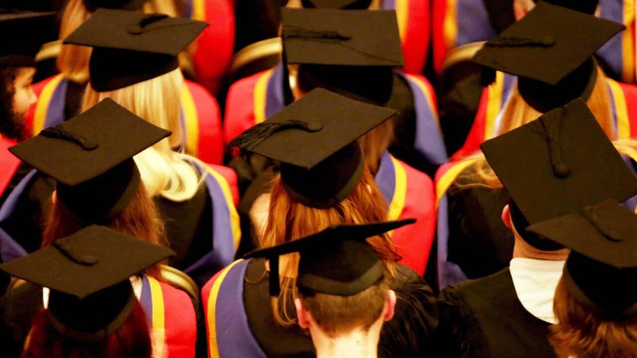 The government's measure to cap the Commonwealth Grant Scheme to 2017 levels will take effect in the new year and apply to all bachelor degrees.