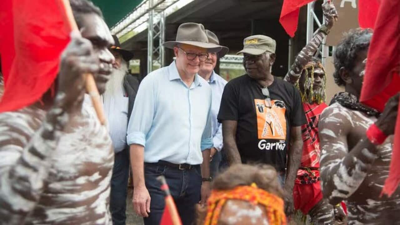 garma (2).jpg