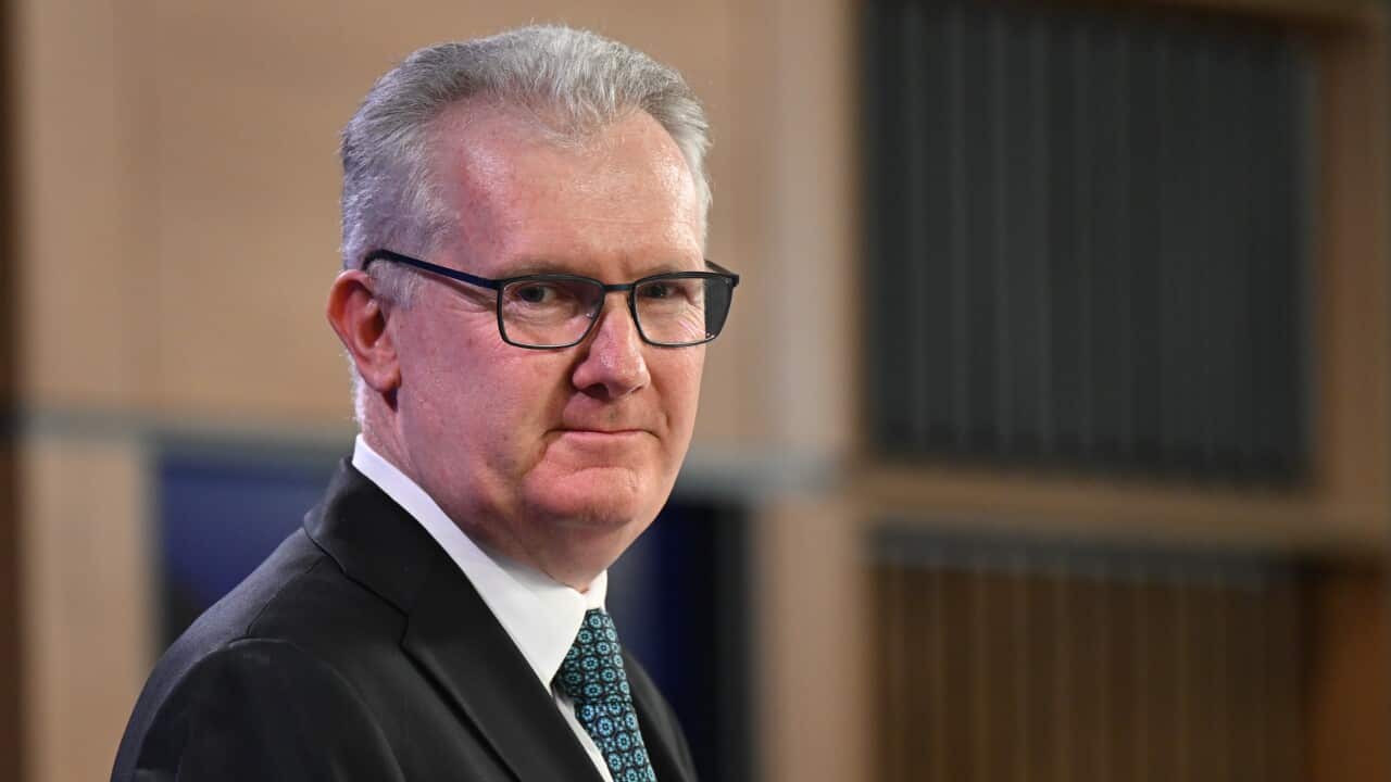 A man in a suit wearing glasses looks at the camera