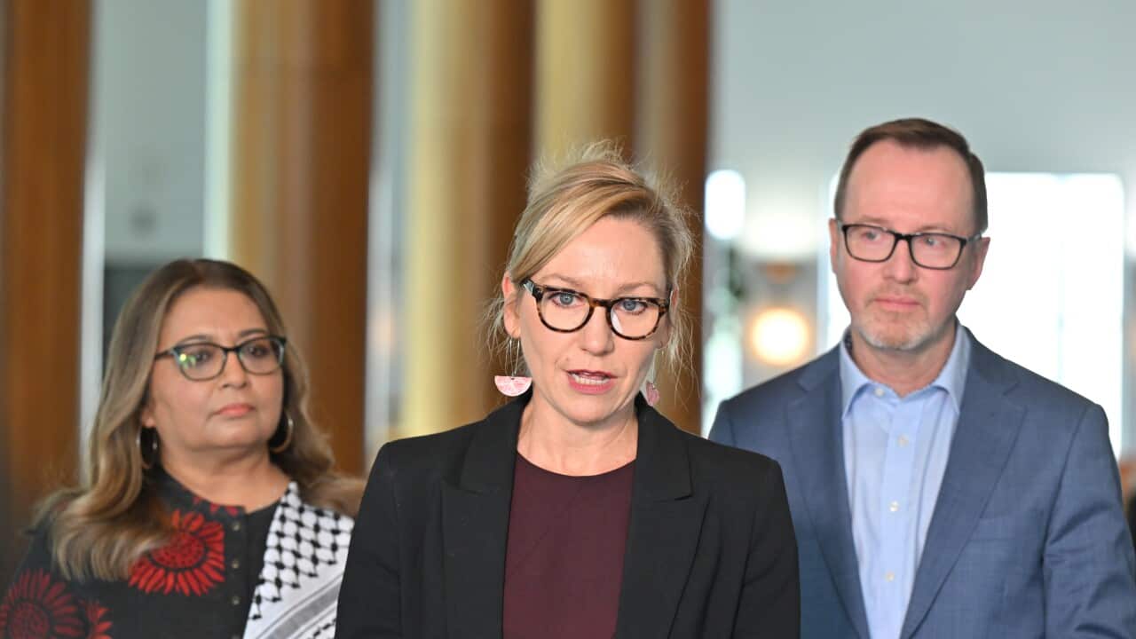 Greens confirm they won't back government's hate speech laws, will support gun reforms