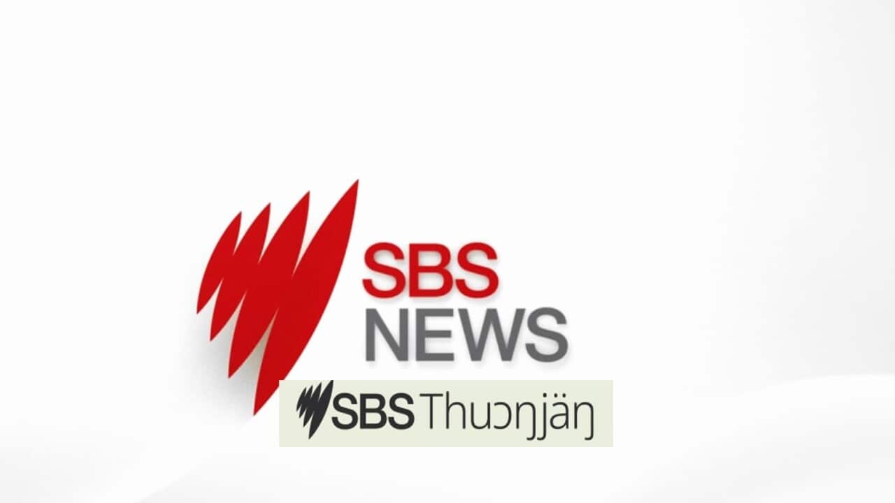 SBS Dinka News