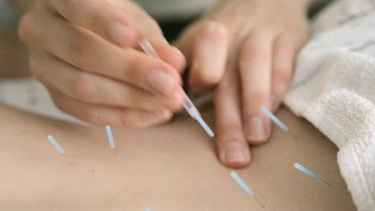 A person is receiving acupuncture treatment