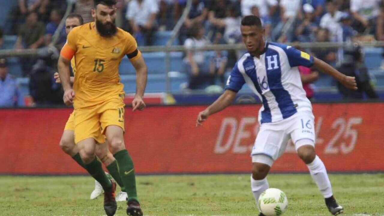 Alexander Lopez and Michael Jedinak