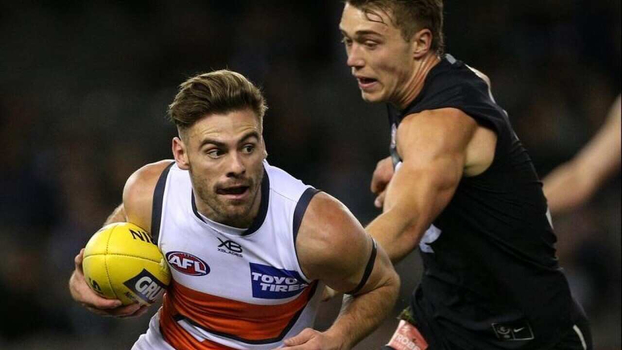 Stephen Coniglio