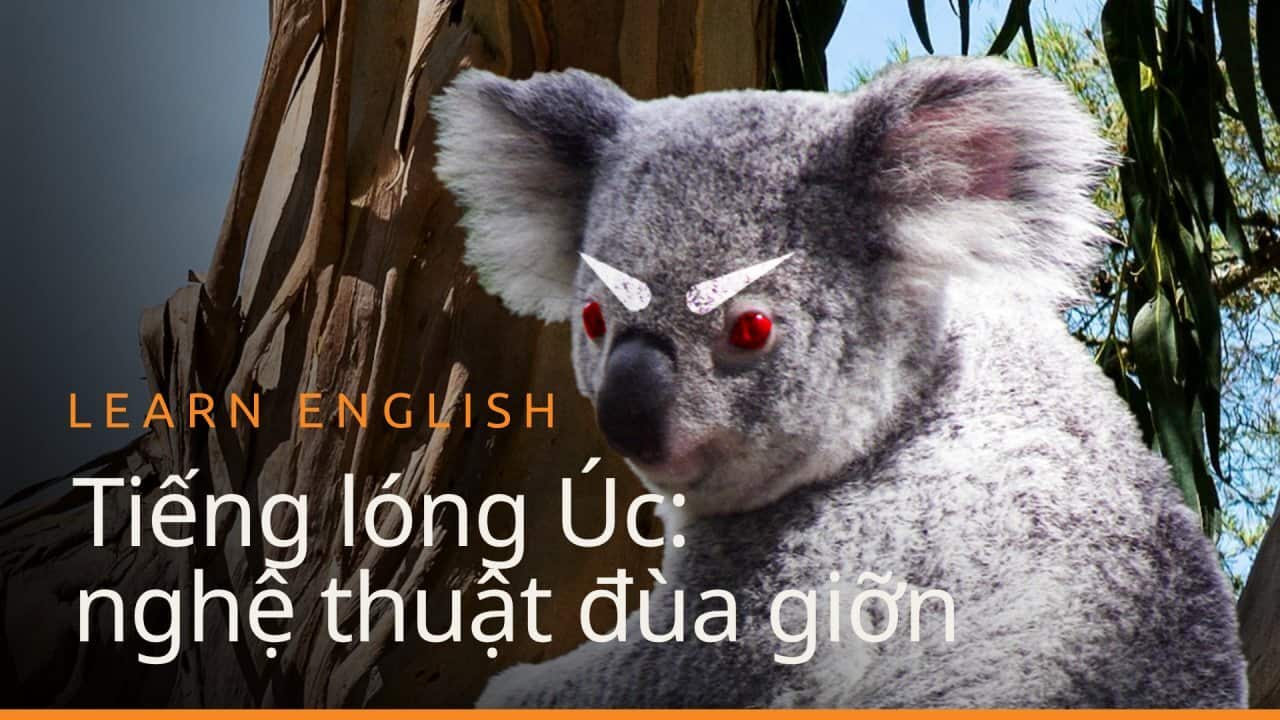 Image for read more article 'Xem thêm các tập phim:'