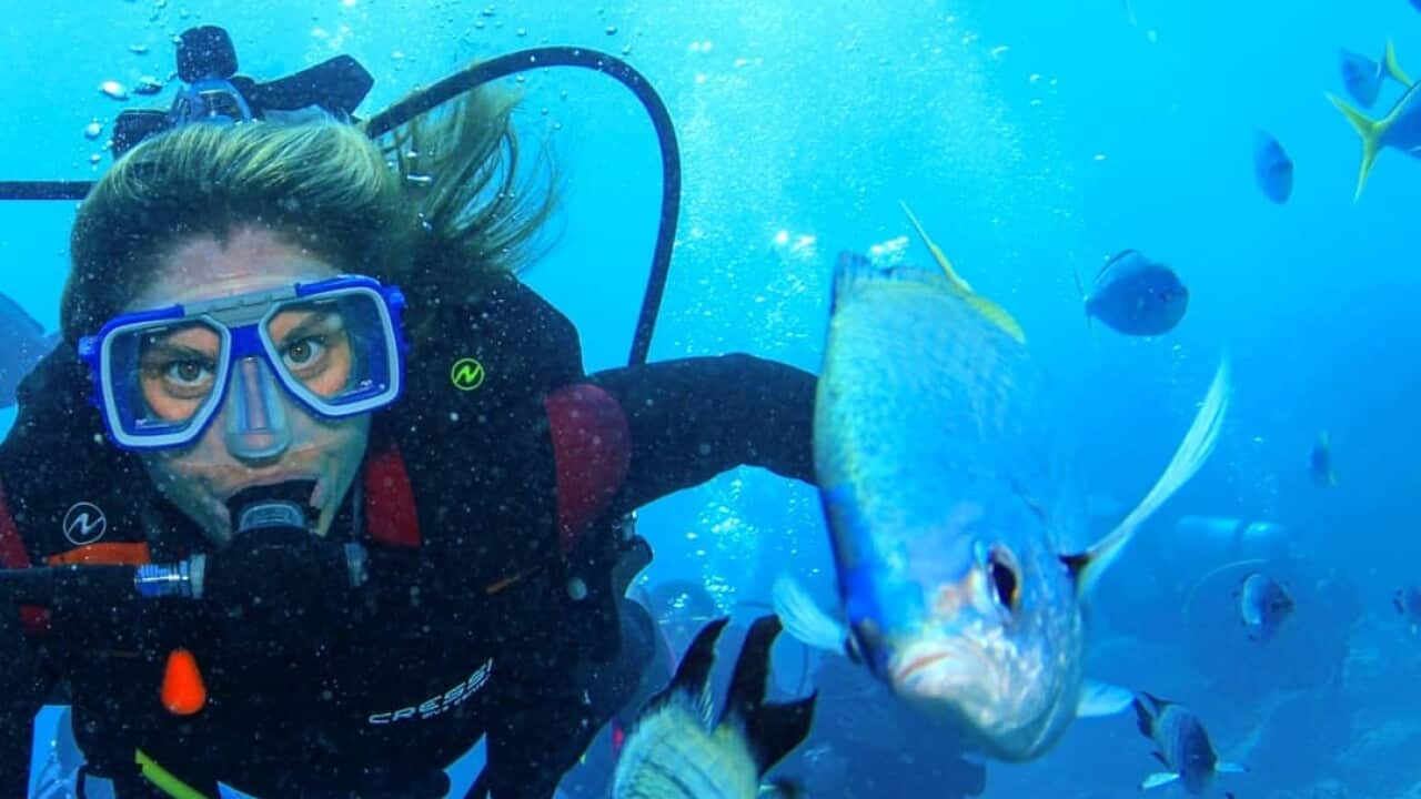 WhatsApp Image 2023-10-06 at 8.47.19 PM.jpeg