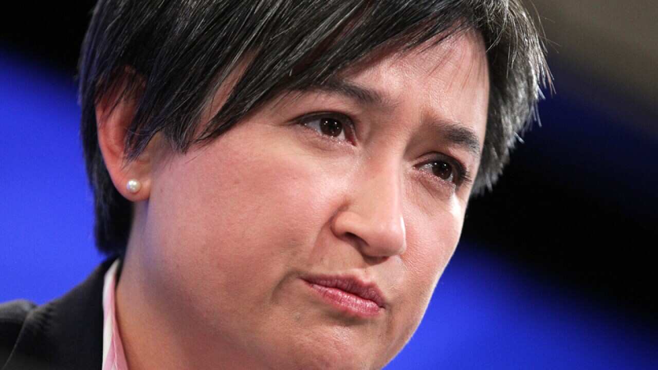 Labor senator Penny Wong