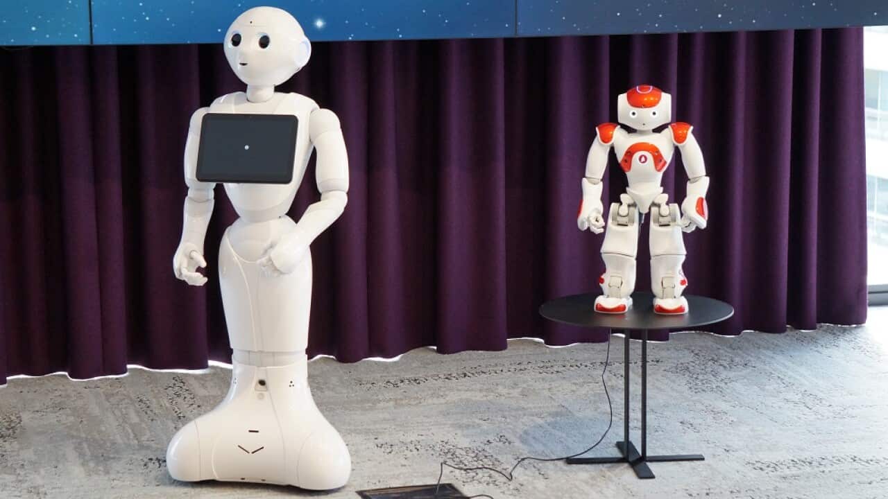Social Robots