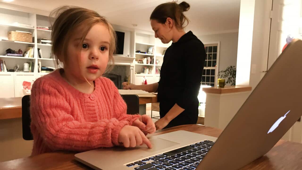 A three year old girl playing on an computer.
