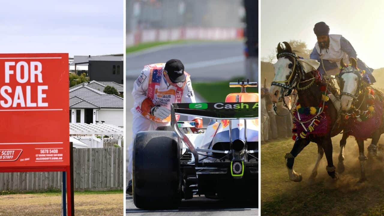 Top news of the week 06032026.jpg