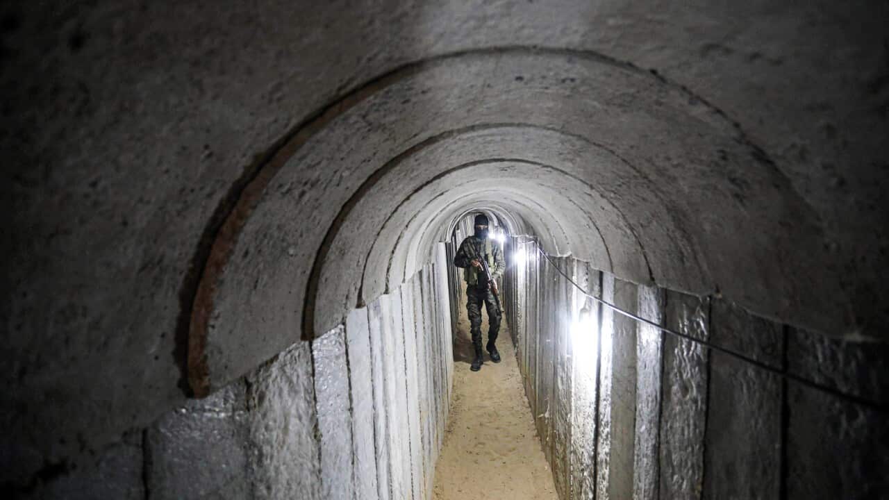 Image for read more article 'إقرأ أيضاً'