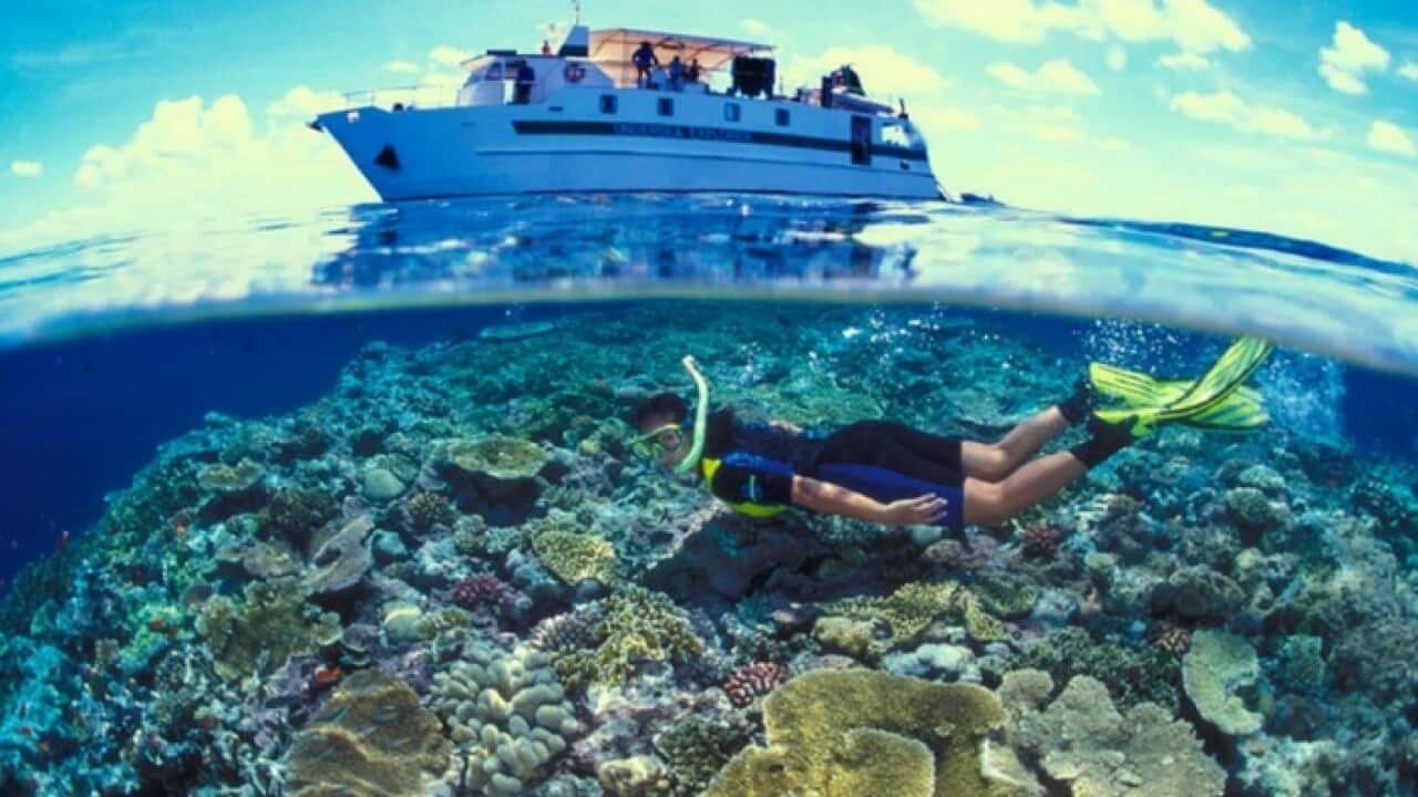 great_barrier_reef.jpg