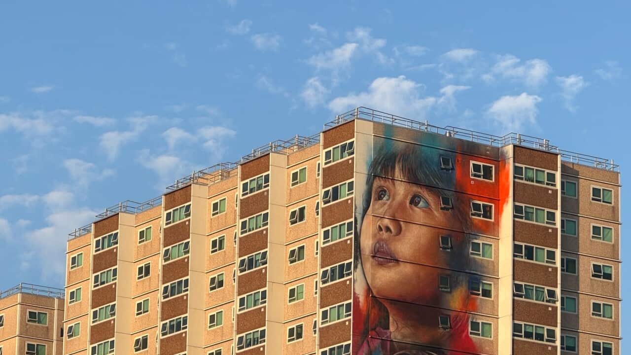 The public housing towers in Collingwood (SBS-Sydney Lang)