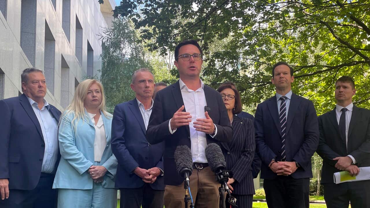 DAVID LITTLEPROUD NET ZERO PRESSER