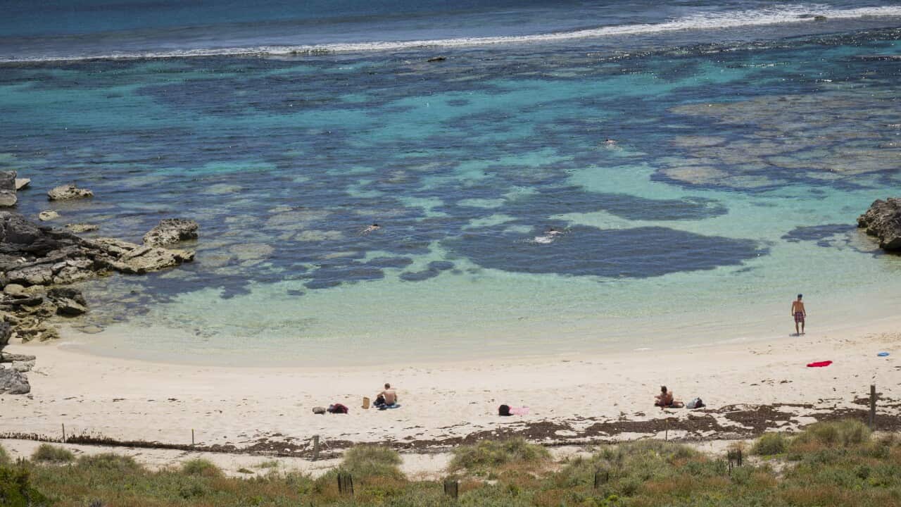 Image for read more article 'READ MORE'