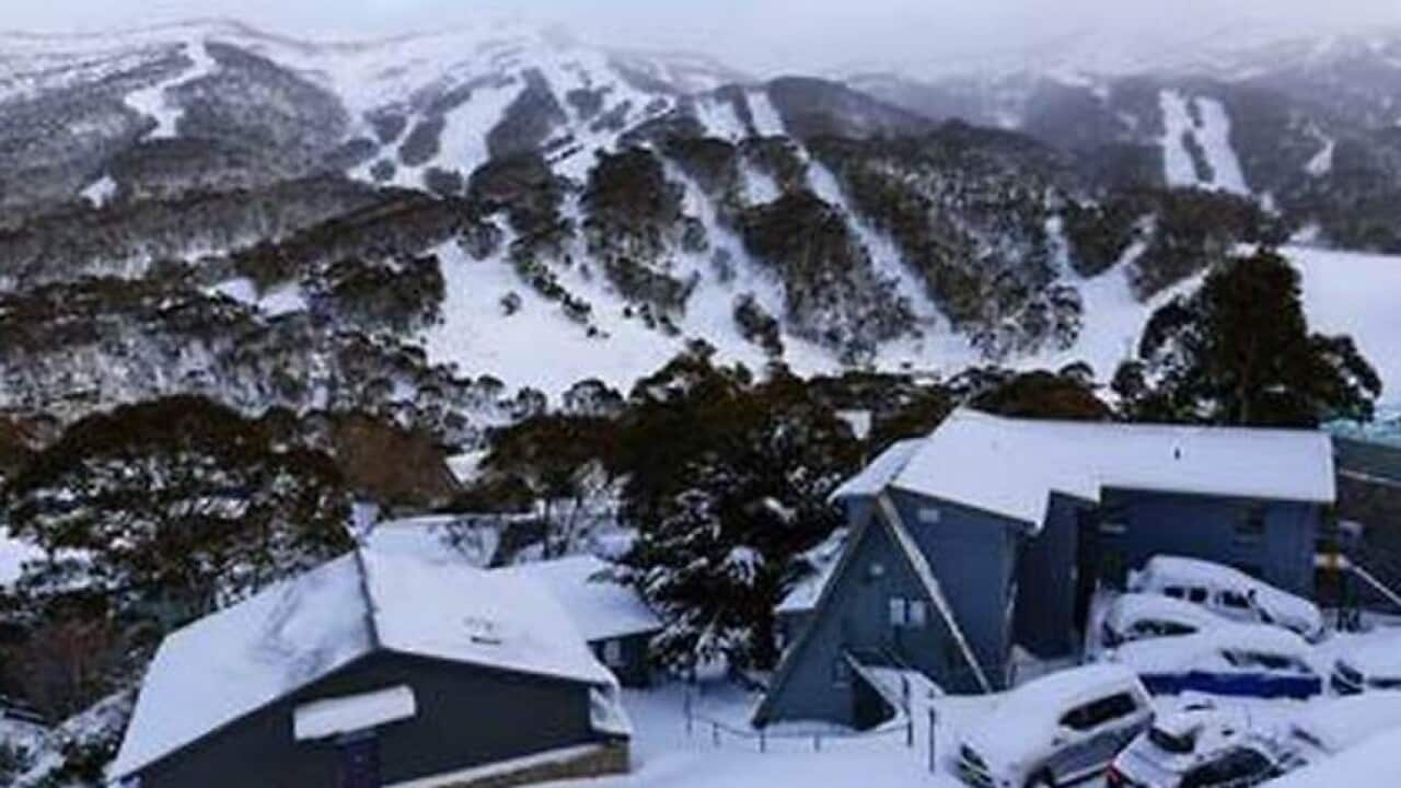 Cold snap in NSW expected to bring largest snowfalls since 2015