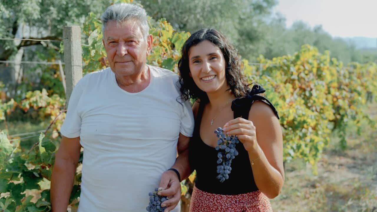 Chiara Barbera Vendemmia.jpg