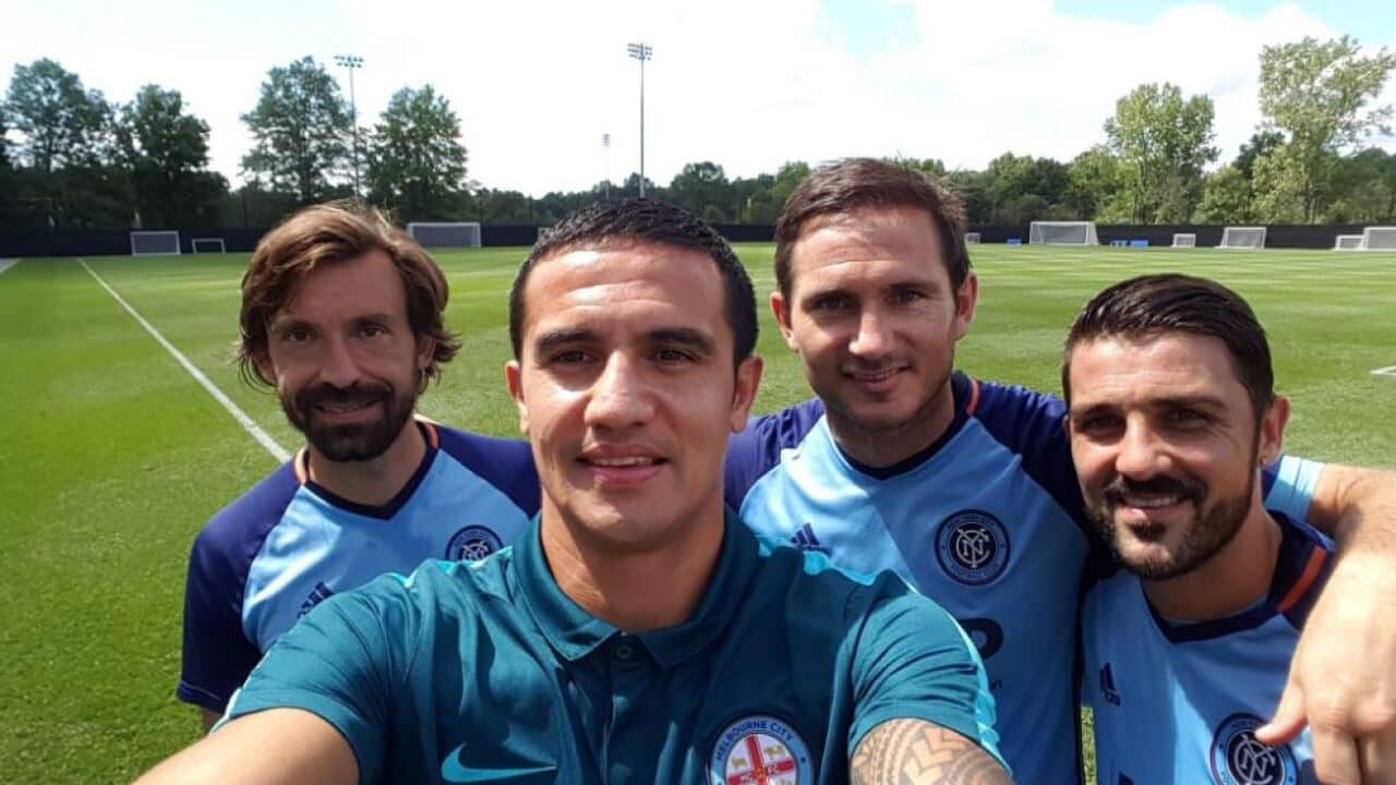 Tim Cahill