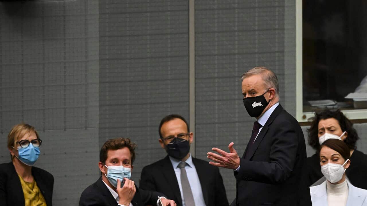 ANTHONY ALBANESE CLIMATE CHANGE VOTE