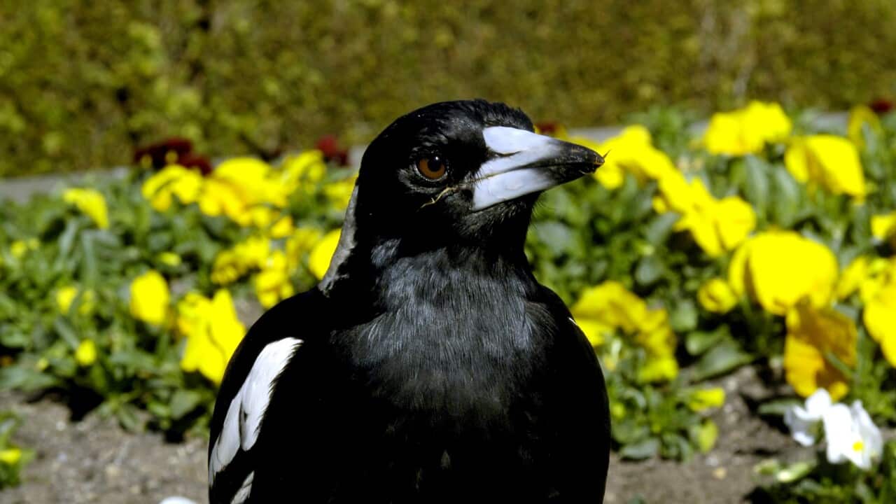 Image for read more article 'READ MORE'